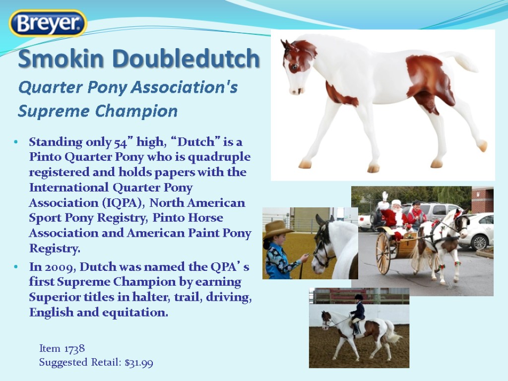 Smokin Doubledutch Quarter Pony Association's Supreme Champion Standing only 54” high, “Dutch” is a